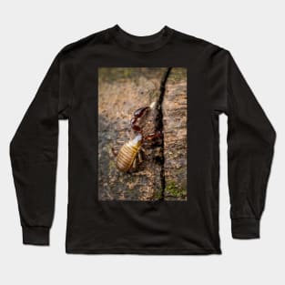 A Pseudoscorpion (Pseudoscorpionida) searching the cervice for food Long Sleeve T-Shirt